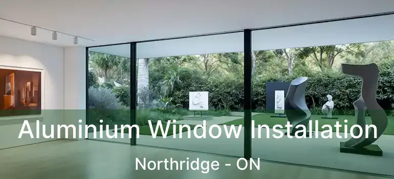  Aluminium Window Installation Northridge - ON