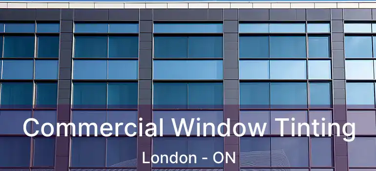  Commercial Window Tinting London - ON