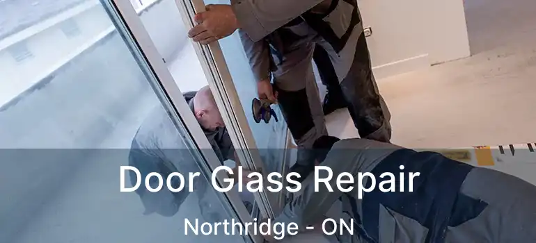 Door Glass Repair Northridge - ON