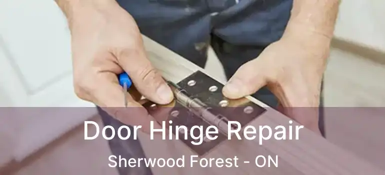 Door Hinge Repair Sherwood Forest - ON