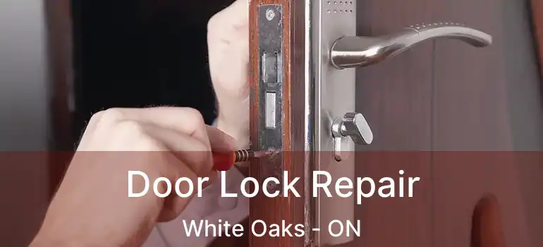 Door Lock Repair White Oaks - ON