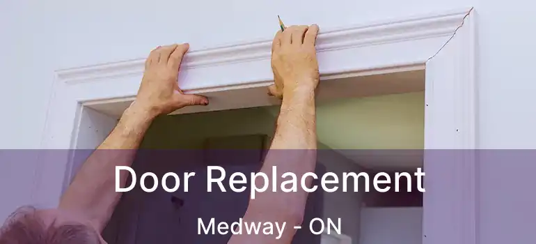  Door Replacement Medway - ON