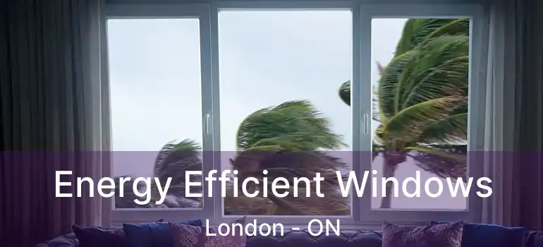  Energy Efficient Windows London - ON