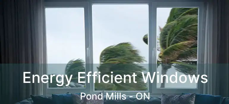 Energy Efficient Windows Pond Mills - ON
