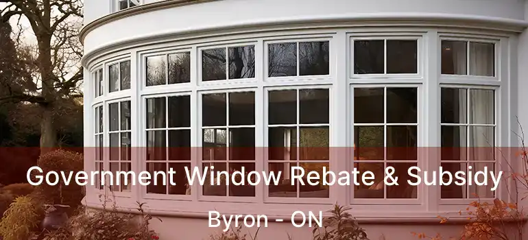  Government Window Rebate & Subsidy Byron - ON