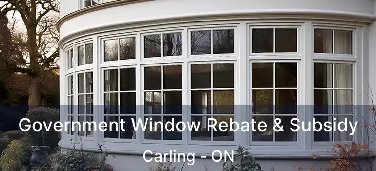  Government Window Rebate & Subsidy Carling - ON