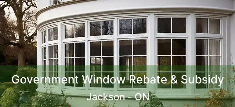  Government Window Rebate & Subsidy Jackson - ON