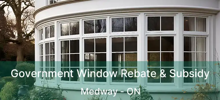  Government Window Rebate & Subsidy Medway - ON