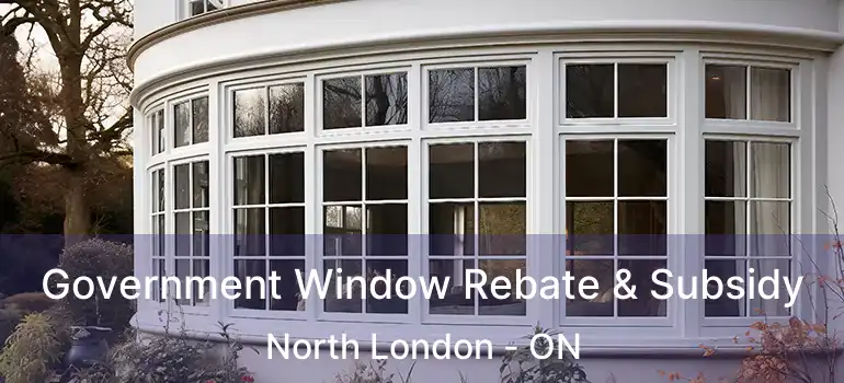  Government Window Rebate & Subsidy North London - ON
