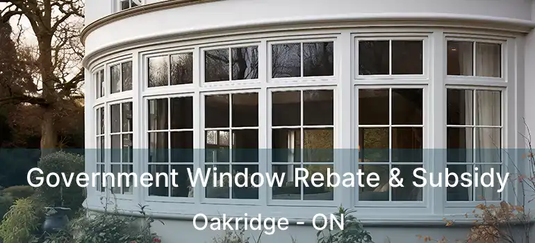  Government Window Rebate & Subsidy Oakridge - ON