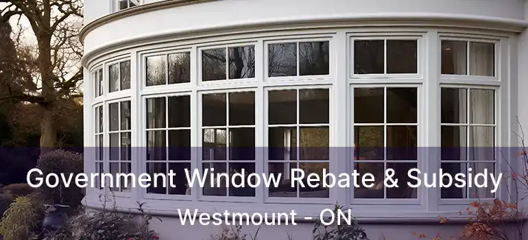  Government Window Rebate & Subsidy Westmount - ON