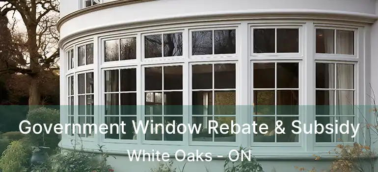 Government Window Rebate & Subsidy White Oaks - ON