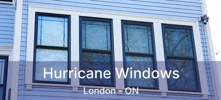  Hurricane Windows London - ON