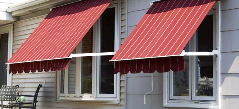 Government Rebate Window Replacement in London, ON