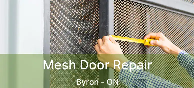 Mesh Door Repair Byron - ON