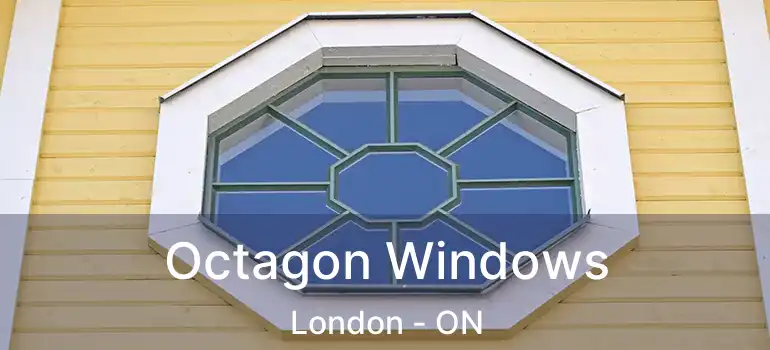  Octagon Windows London - ON