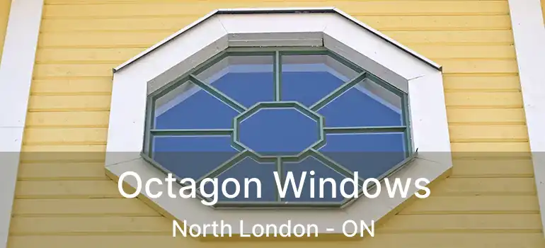  Octagon Windows North London - ON