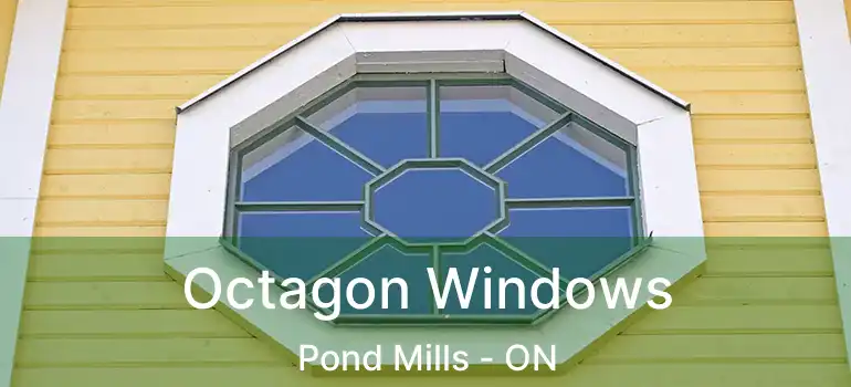  Octagon Windows Pond Mills - ON