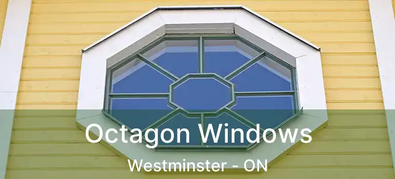  Octagon Windows Westminster - ON
