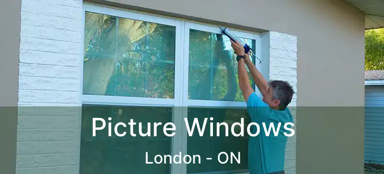  Picture Windows London - ON