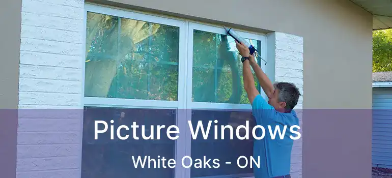 Picture Windows White Oaks - ON