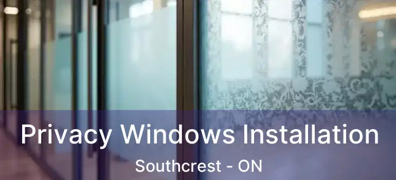 Privacy Windows Installation Southcrest - ON