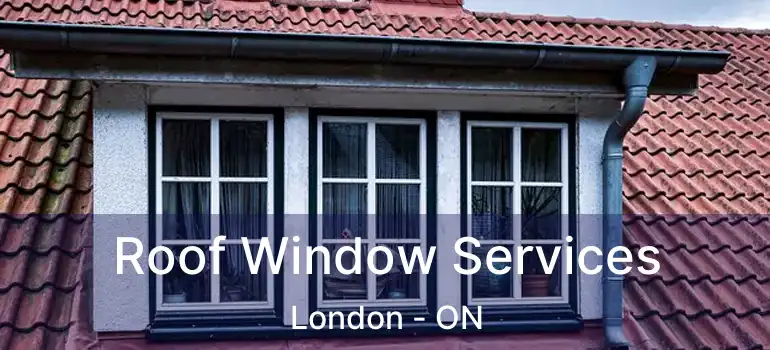  Roof Window Services London - ON
