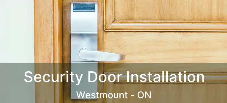 Security Door Installation Westmount - ON