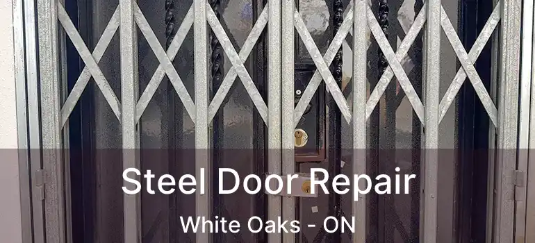 Steel Door Repair White Oaks - ON