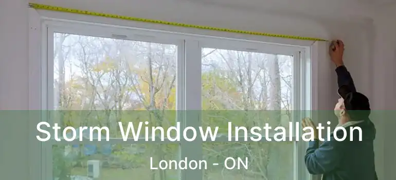  Storm Window Installation London - ON
