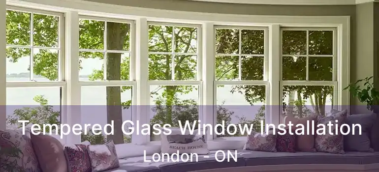  Tempered Glass Window Installation London - ON