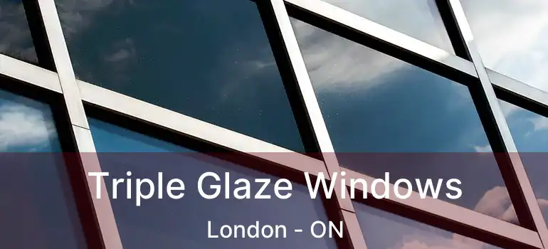  Triple Glaze Windows London - ON