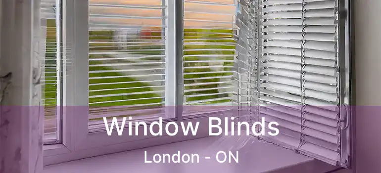  Window Blinds London - ON