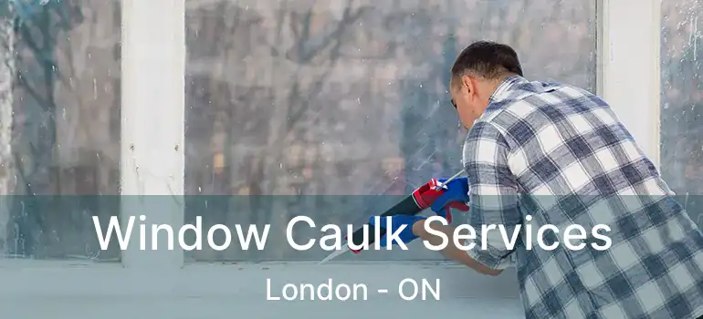  Window Caulk Services London - ON