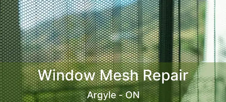 Window Mesh Repair Argyle - ON