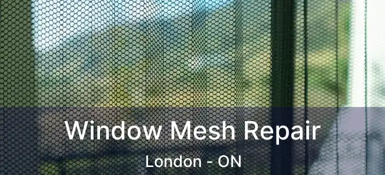  Window Mesh Repair London - ON