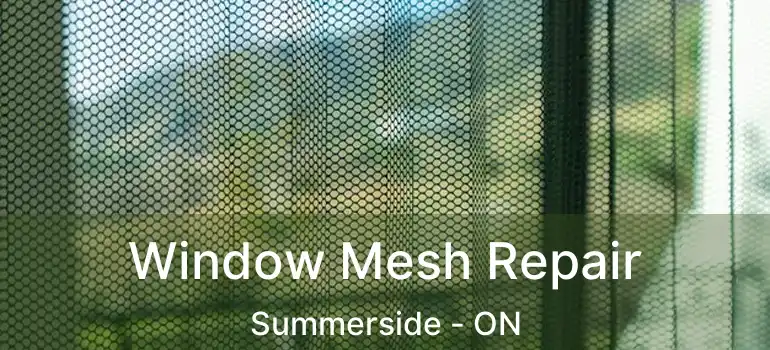 Window Mesh Repair Summerside - ON