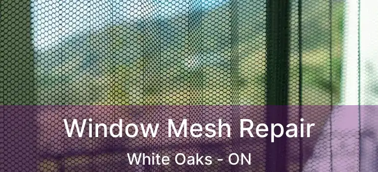 Window Mesh Repair White Oaks - ON