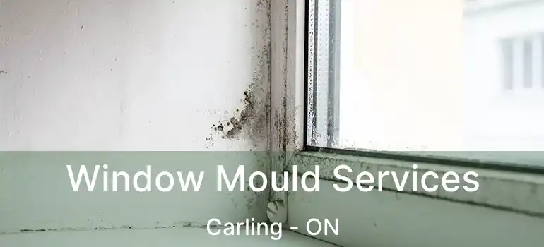 Window Mould Services Carling - ON