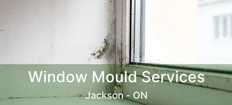 Window Mould Services Jackson - ON