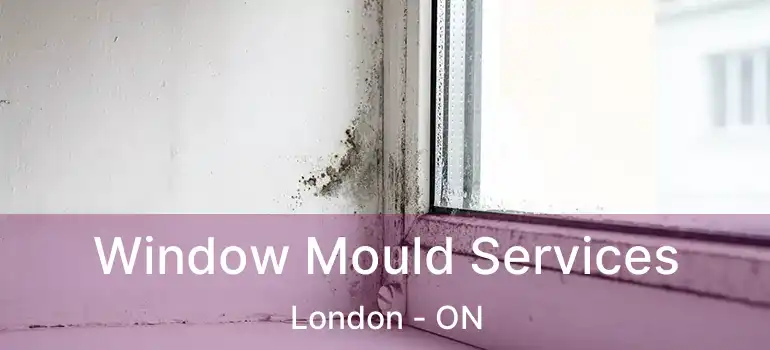  Window Mould Services London - ON