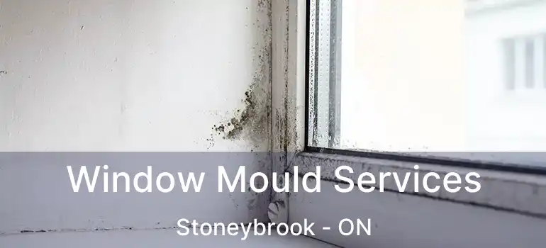Window Mould Services Stoneybrook - ON