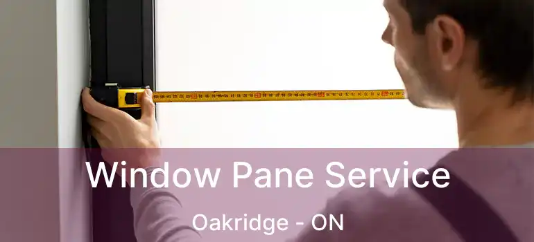 Window Pane Service Oakridge - ON