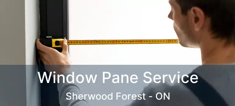 Window Pane Service Sherwood Forest - ON