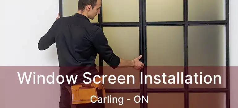 Window Screen Installation Carling - ON