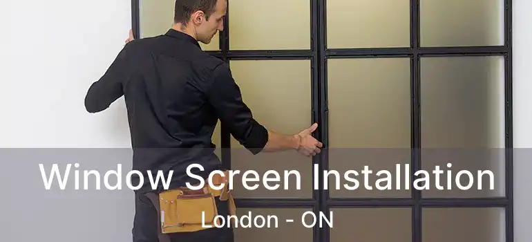  Window Screen Installation London - ON
