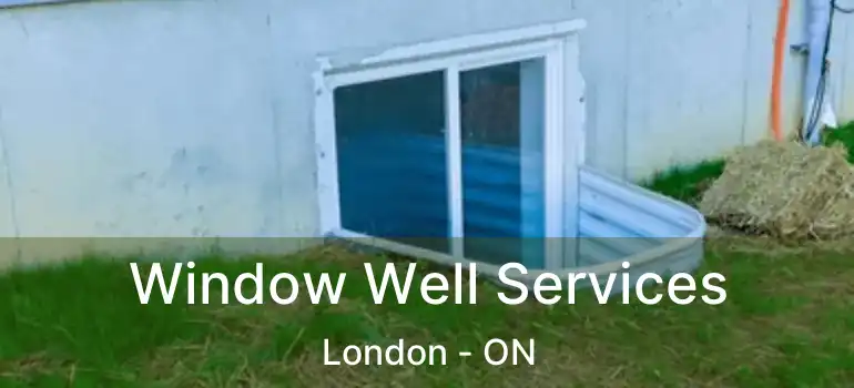  Window Well Services London - ON